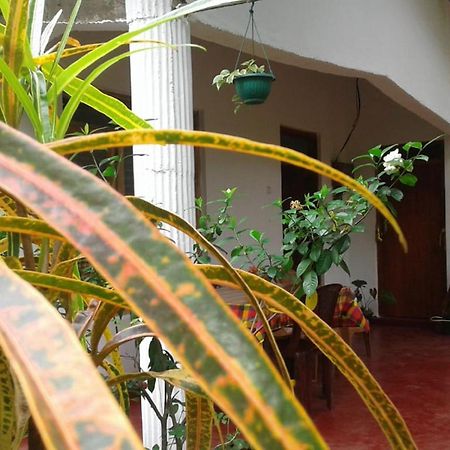 Winstar Homestay Sigiriya Luaran gambar