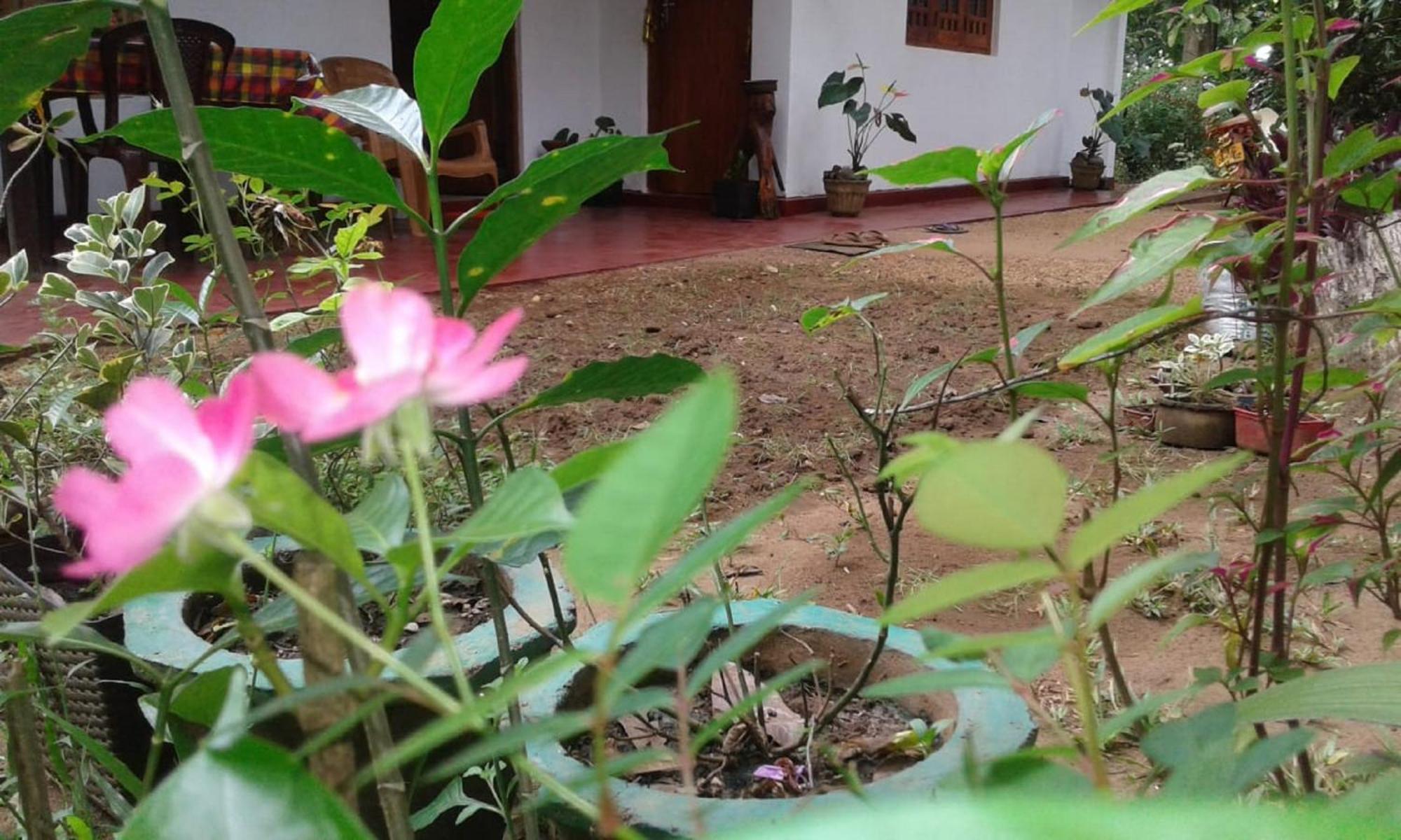 Winstar Homestay Sigiriya Luaran gambar
