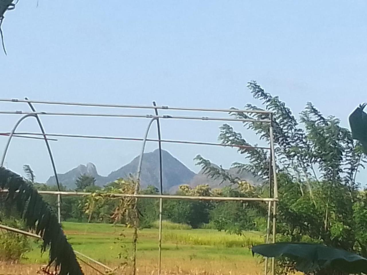 Winstar Homestay Sigiriya Luaran gambar