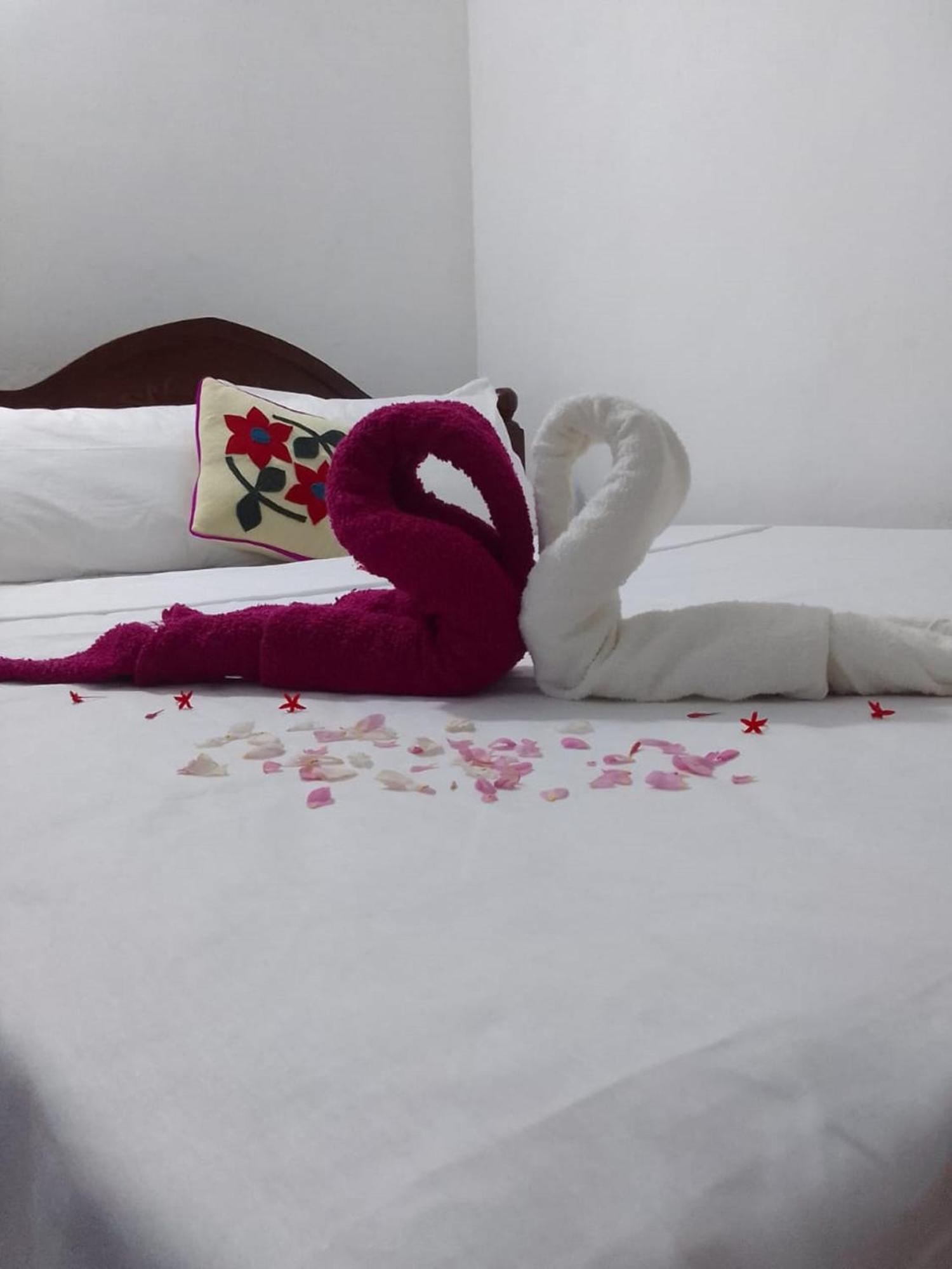 Winstar Homestay Sigiriya Luaran gambar