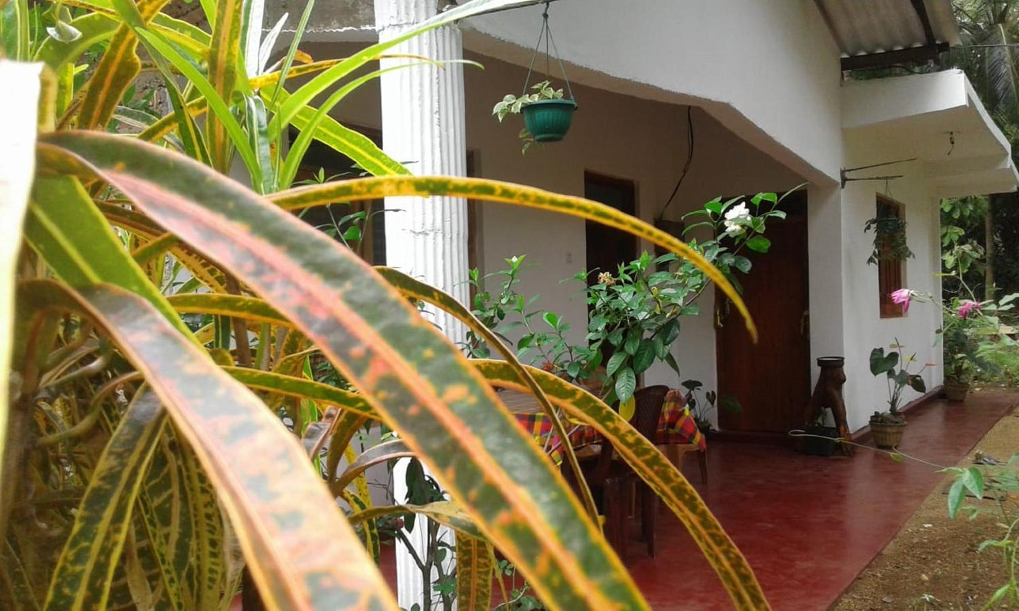 Winstar Homestay Sigiriya Luaran gambar